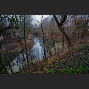 67. Regentag (Verwandlungen)