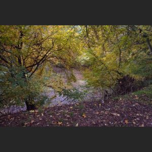 65. Gelber Platz am Ufer