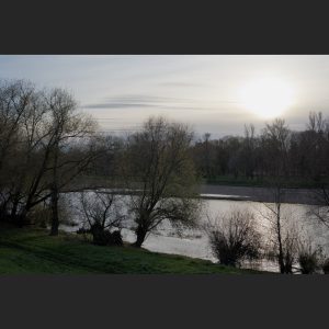 63. November, (Verwandlungen)