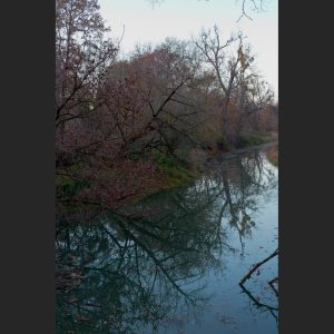 64. Reflektion, Taube Elbe